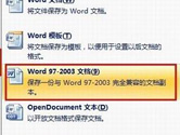 wpsʽôDQword wpsDQwordB