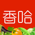V V6.2.4 iPhone