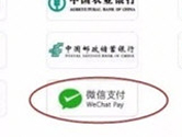 123061123֧΢֧