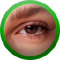 WATCHOUT(ƴӹ) V5.5.1 M
