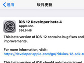 iOS12Ă_l(f)ߜyԇl(f) ޏ͸NBUG