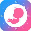W(wng) V8.3.1 ׿