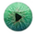 Kinovea(ҕlP(gun)I׽) V0.8.15 ٷ