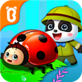 xӛ V9.41.10.00 ׿