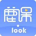 ¹nLook V1.0.6 ٷ