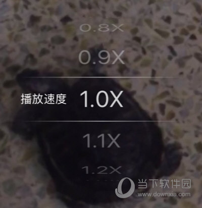 ٲ
