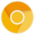 Google Chrome Canary V80.0.3985.3 ٷ