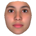 FaceGen Artist(Ęģܛ) V3.4 ٷ