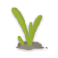 ˇT` V5.0 GɫM