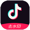 ȥˮӡ V1.0 Gɫ