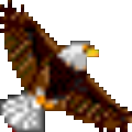 WorkWinW(wng)ܛ V10.2.21 עԴa
